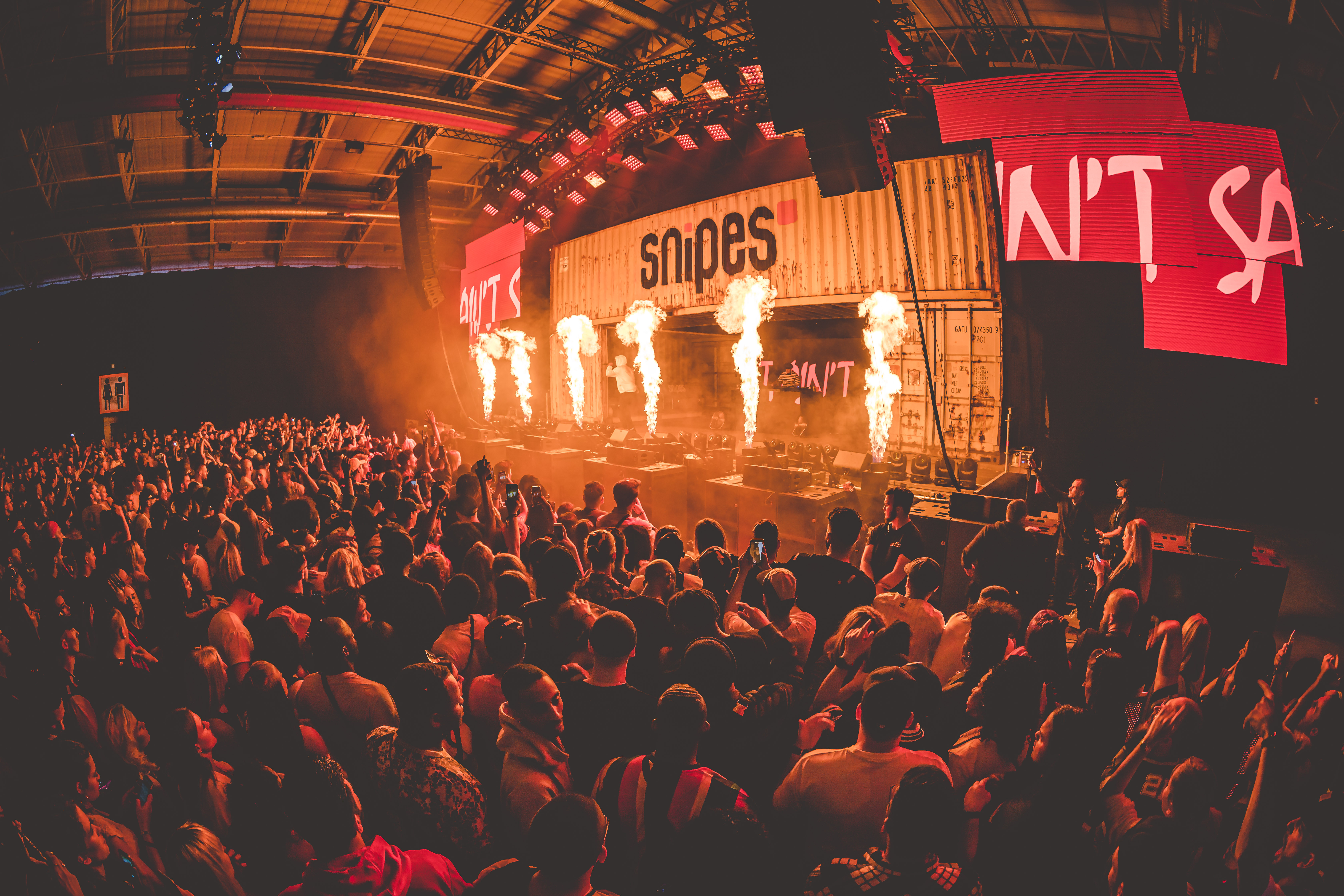 Lasershow bei einem Live-Konzert mit grünen und blauen Strahlen